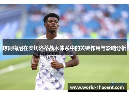 琼阿梅尼在安切洛蒂战术体系中的关键作用与影响分析