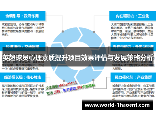 英超球员心理素质提升项目效果评估与发展策略分析 英超球员心理素质提升项目效果评估与发展策略分析